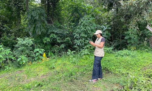 Avanzamos en la Georreferenciación para Cumplir con el EUDR