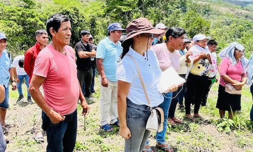 Capacitación Técnica para Productores